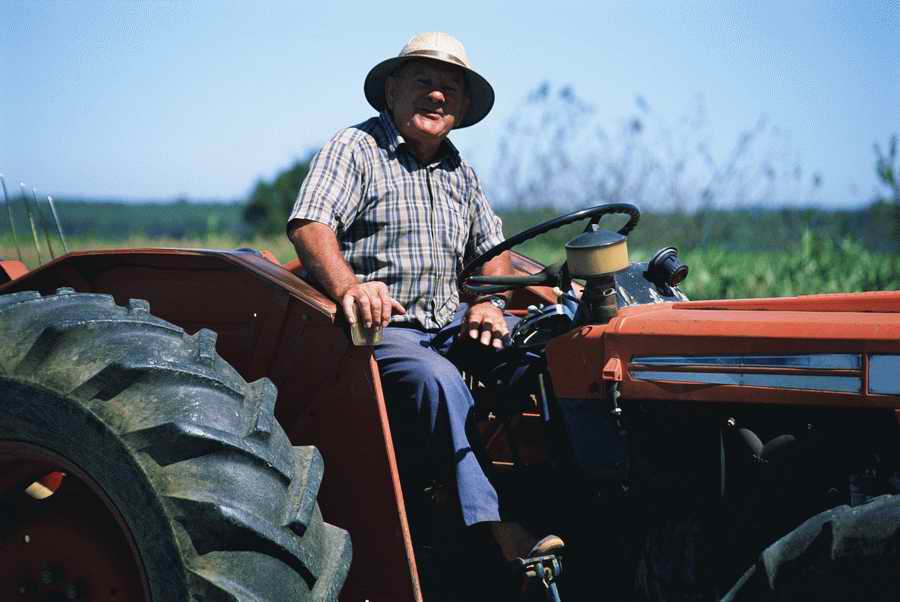 Retail, Shopping & Small Business - Photodisc ></a>
<script language=JavaScript> 
  var txt = 