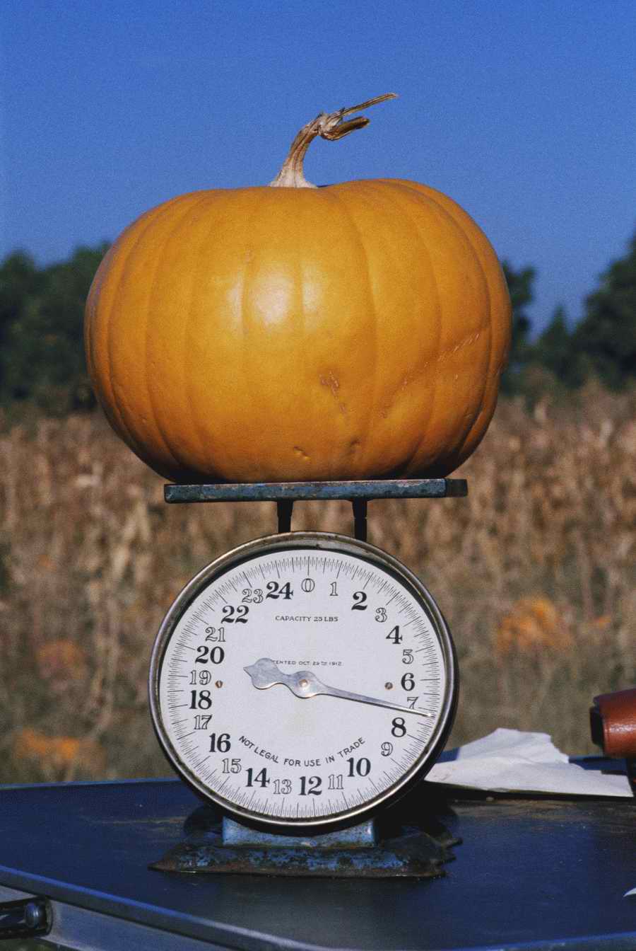 Retail, Shopping & Small Business - Photodisc ></a>
<script language=JavaScript> 
  var txt = 