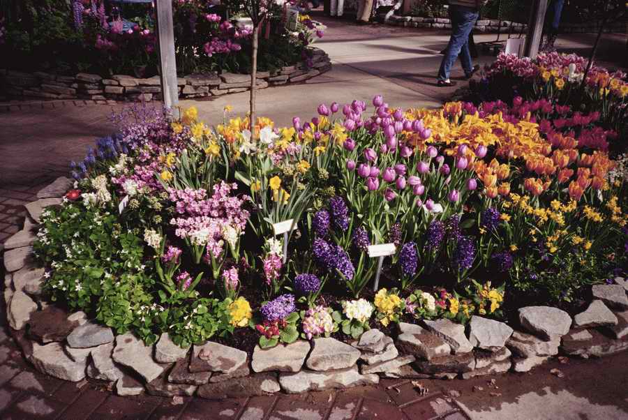 Retail, Shopping & Small Business - Photodisc ></a>
<script language=JavaScript> 
  var txt = 