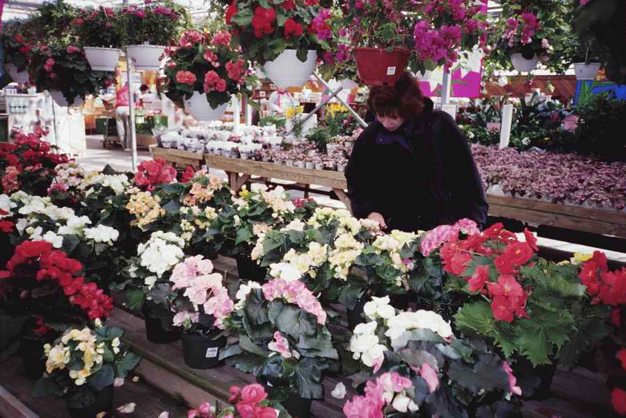 Retail, Shopping & Small Business - Photodisc ></a>
<script language=JavaScript> 
  var txt = 