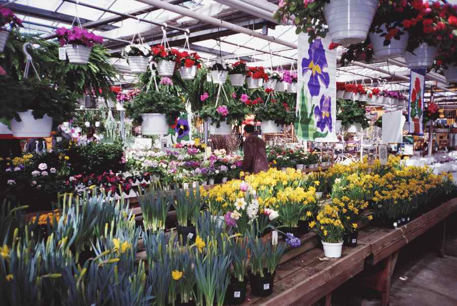 Retail, Shopping & Small Business - Photodisc ></a>
<script language=JavaScript> 
  var txt = 