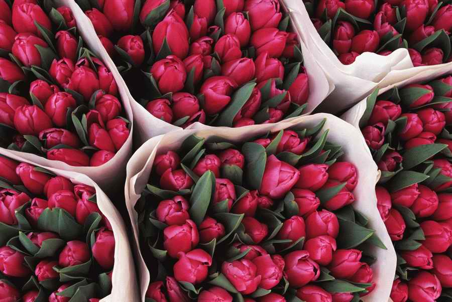 Retail, Shopping & Small Business - Photodisc ></a>
<script language=JavaScript> 
  var txt = 