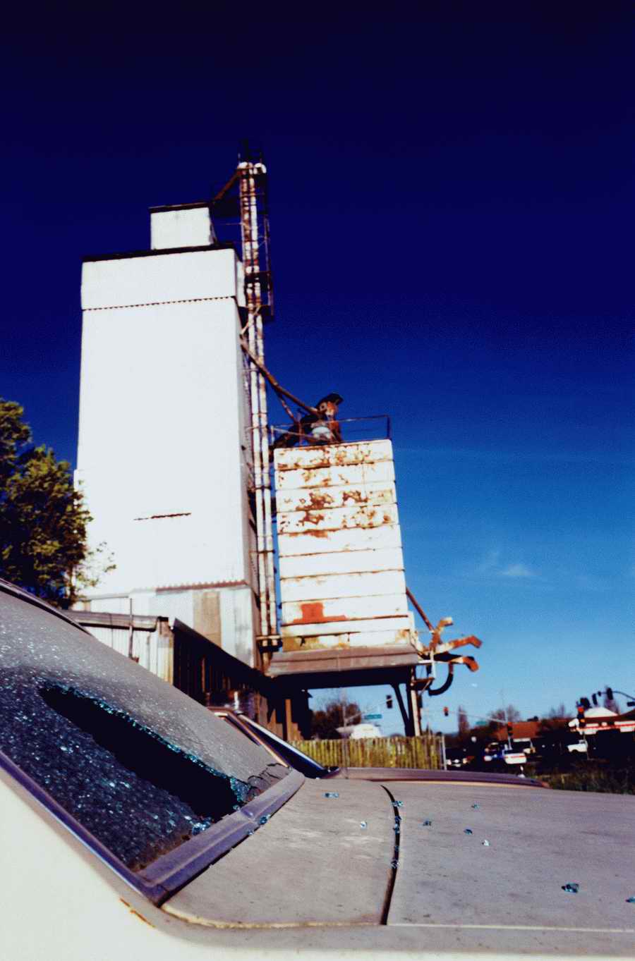 Shipping & Handling - Photodisc ></a>
<script language=JavaScript> 
  var txt = 