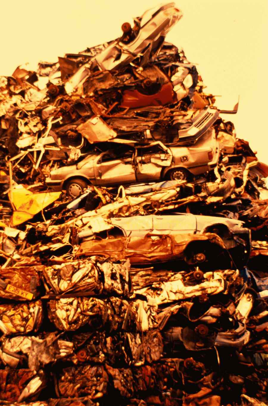 Shipping & Handling - Photodisc ></a>
<script language=JavaScript> 
  var txt = 