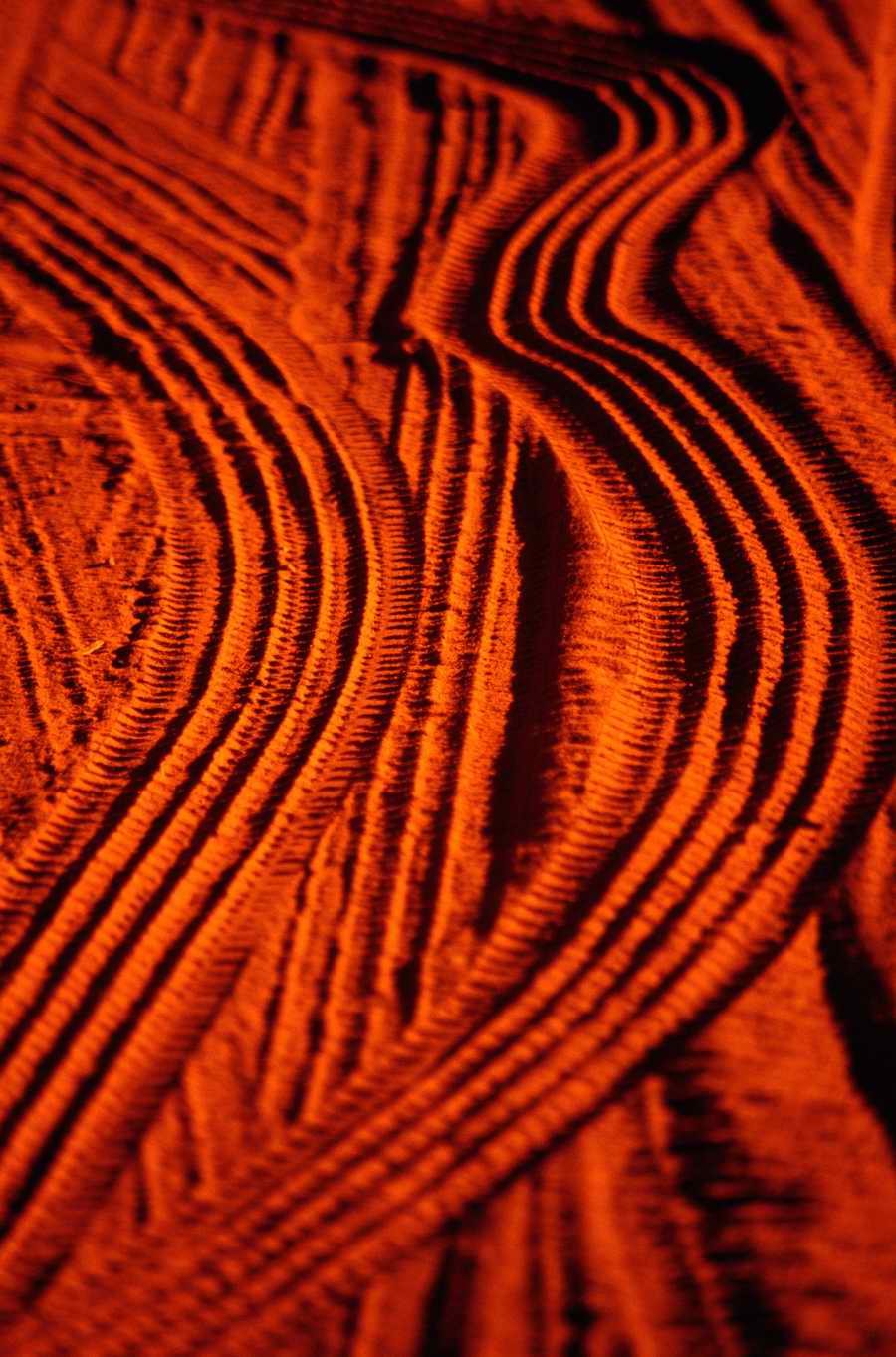 Shipping & Handling - Photodisc ></a>
<script language=JavaScript> 
  var txt = 