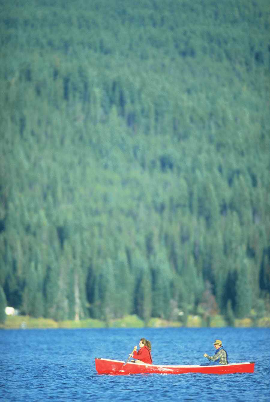 Sports & Recreation - Photodisc ></a>
<script language=JavaScript> 
  var txt = 