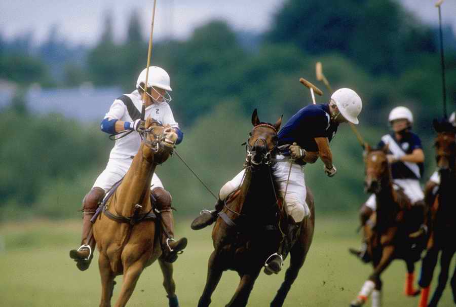 Sports & Recreation - Photodisc ></a>
<script language=JavaScript> 
  var txt = 