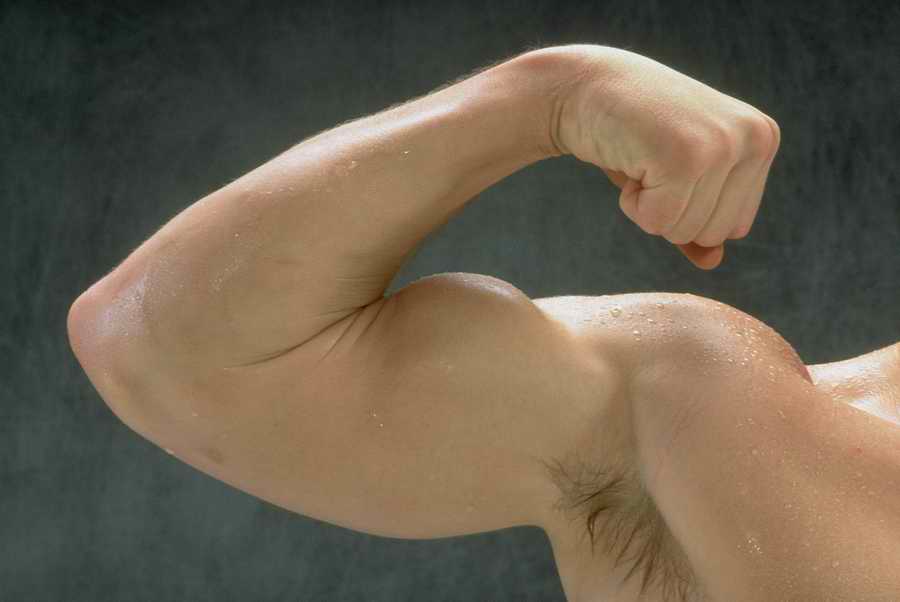 Sports & Recreation - Photodisc ></a>
<script language=JavaScript> 
  var txt = 