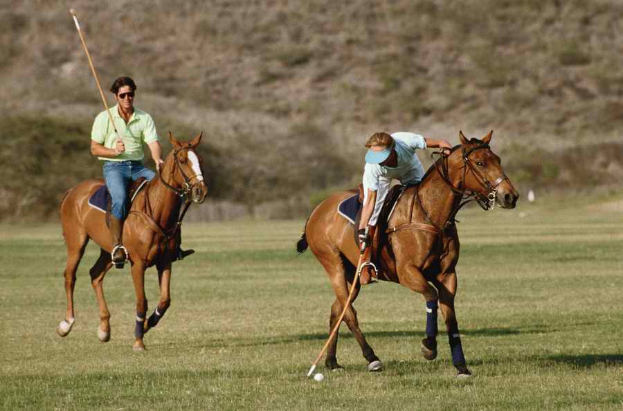 Sports & Recreation 2 - Photodisc ></a>
<script language=JavaScript> 
  var txt = 