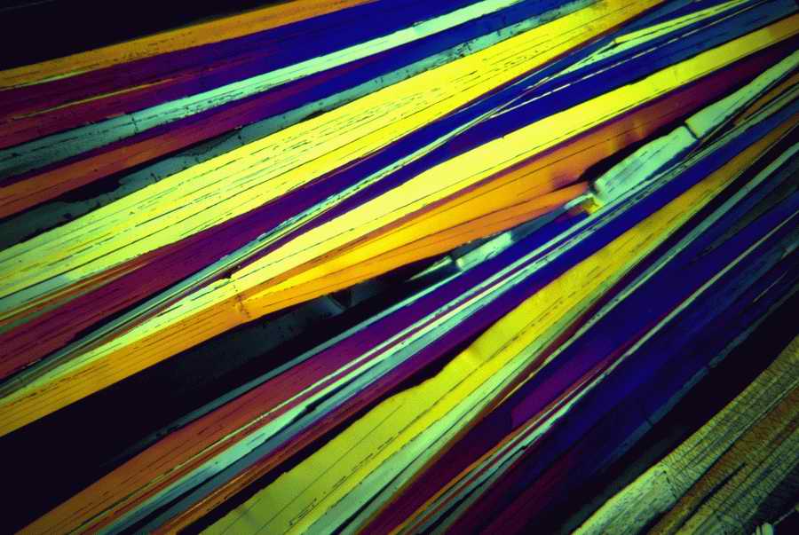 Science, Technology & Medicine - Photodisc ></a>
<script language=JavaScript> 
  var txt = 