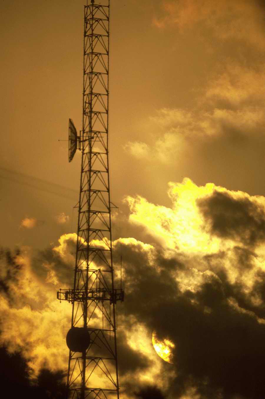 Science, Technology & Medicine - Photodisc ></a>
<script language=JavaScript> 
  var txt = 