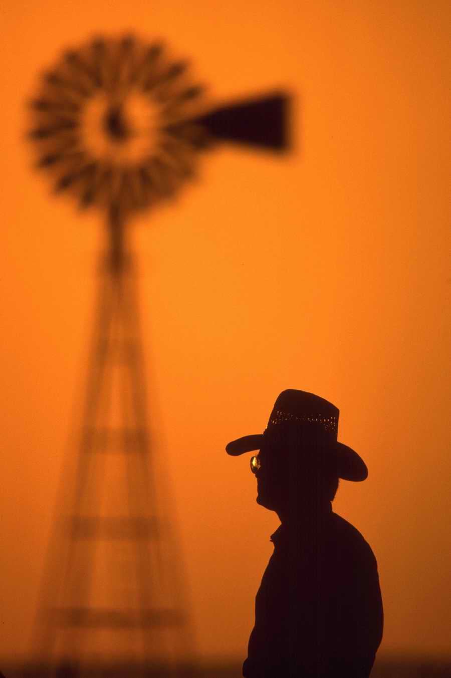 Science, Technology & Medicine - Photodisc ></a>
<script language=JavaScript> 
  var txt = 