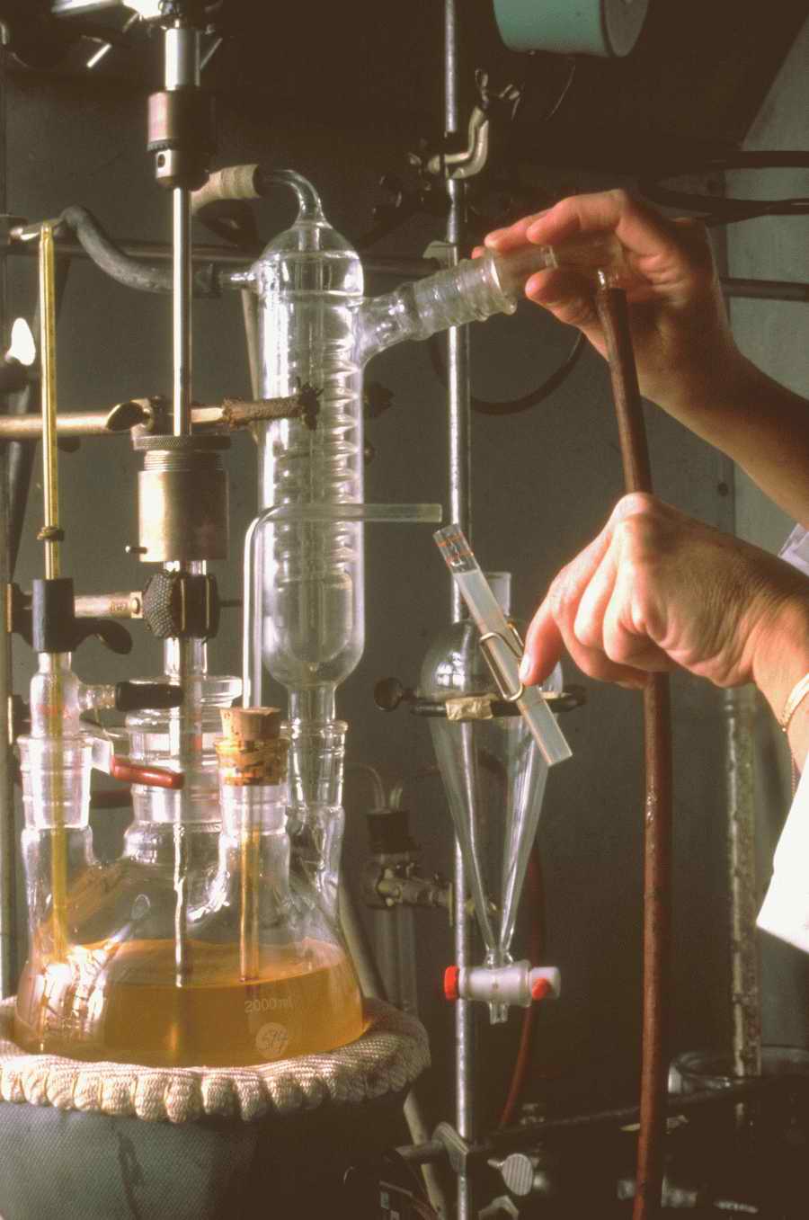 Science, Technology & Medicine - Photodisc ></a>
<script language=JavaScript> 
  var txt = 