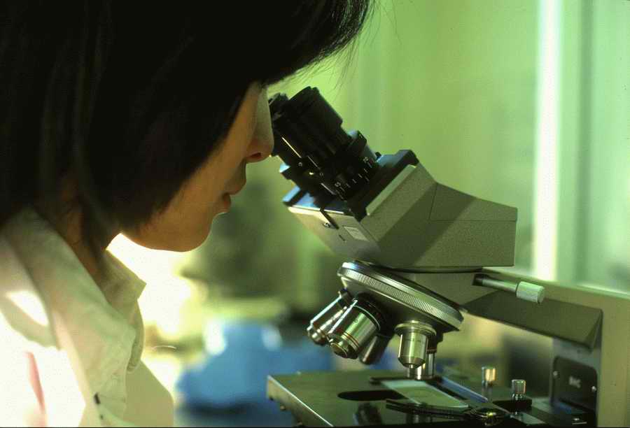 Science, Technology & Medicine - Photodisc ></a>
<script language=JavaScript> 
  var txt = 