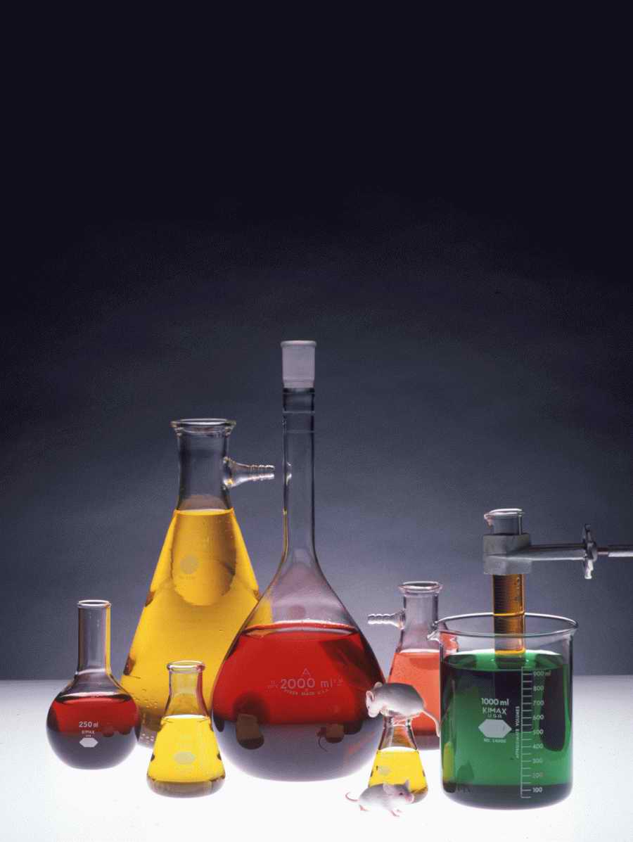 Science, Technology & Medicine - Photodisc ></a>
<script language=JavaScript> 
  var txt = 