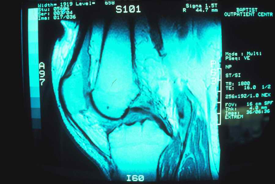 Science, Technology & Medicine - Photodisc ></a>
<script language=JavaScript> 
  var txt = 