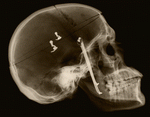 Photodisc: Science, Technology & Medicine 2 