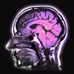 Photodisc: Science, Technology & Medicine 2 