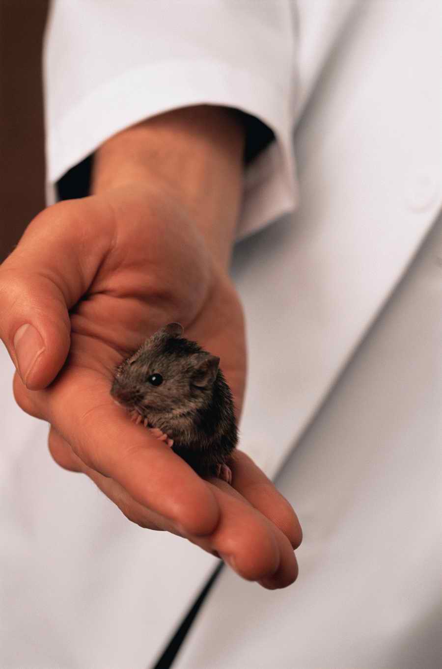 Science, Technology & Medicine 2 - Photodisc ></a>
<script language=JavaScript> 
  var txt = 