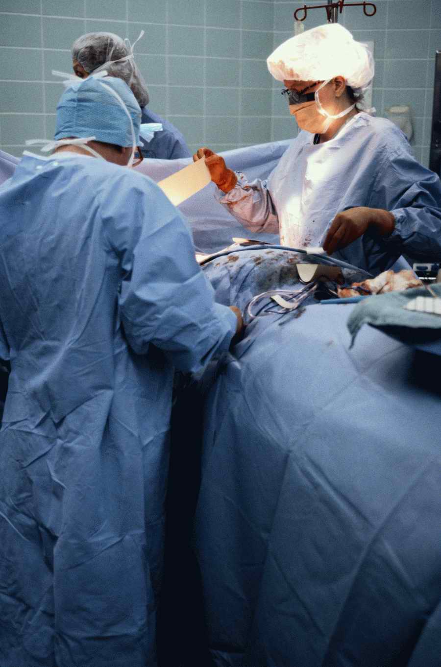 Science, Technology & Medicine 2 - Photodisc ></a>
<script language=JavaScript> 
  var txt = 