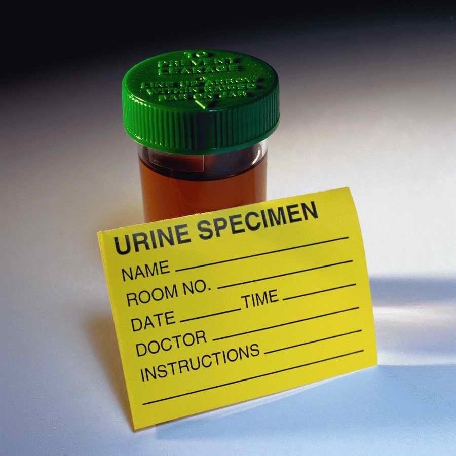 Science, Technology & Medicine 2 - Photodisc ></a>
<script language=JavaScript> 
  var txt = 