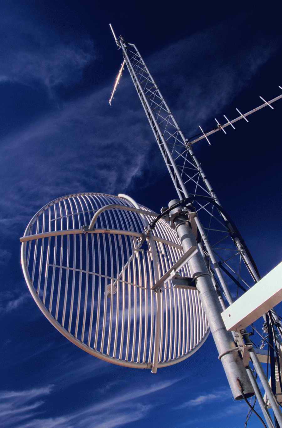 Science, Technology & Medicine 2 - Photodisc ></a>
<script language=JavaScript> 
  var txt = 