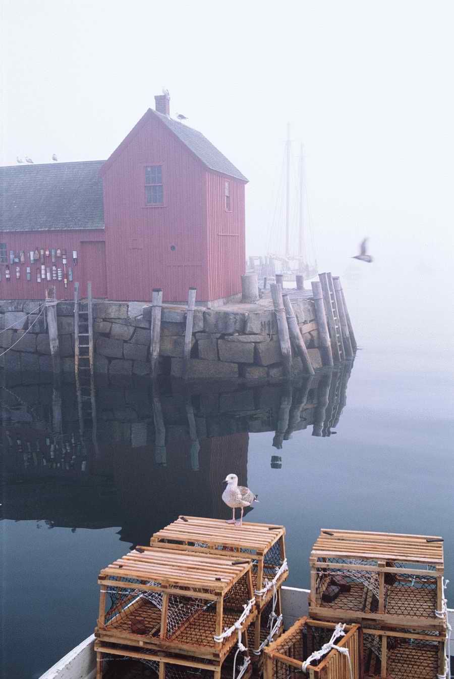 US Landmarks & Travel - Photodisc ></a>
<script language=JavaScript> 
  var txt = 