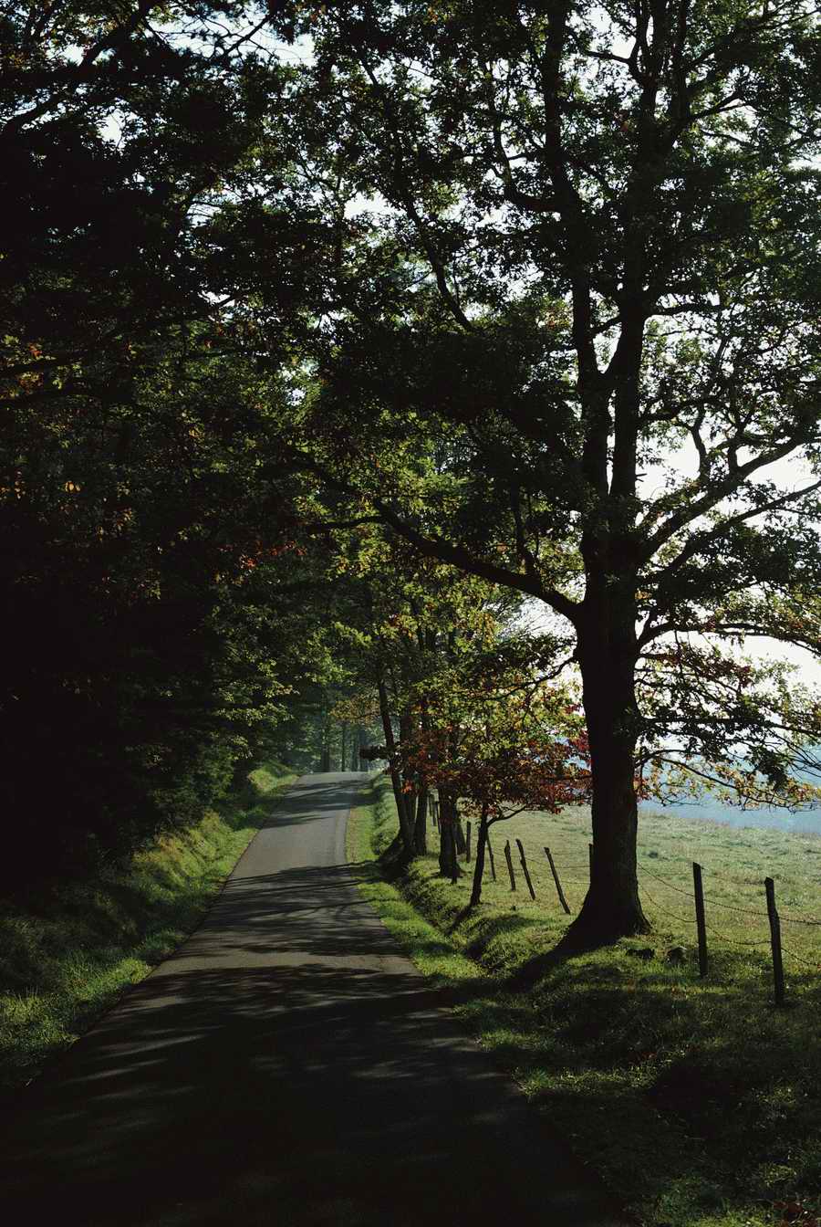 US Landmarks & Travel - Photodisc ></a>
<script language=JavaScript> 
  var txt = 