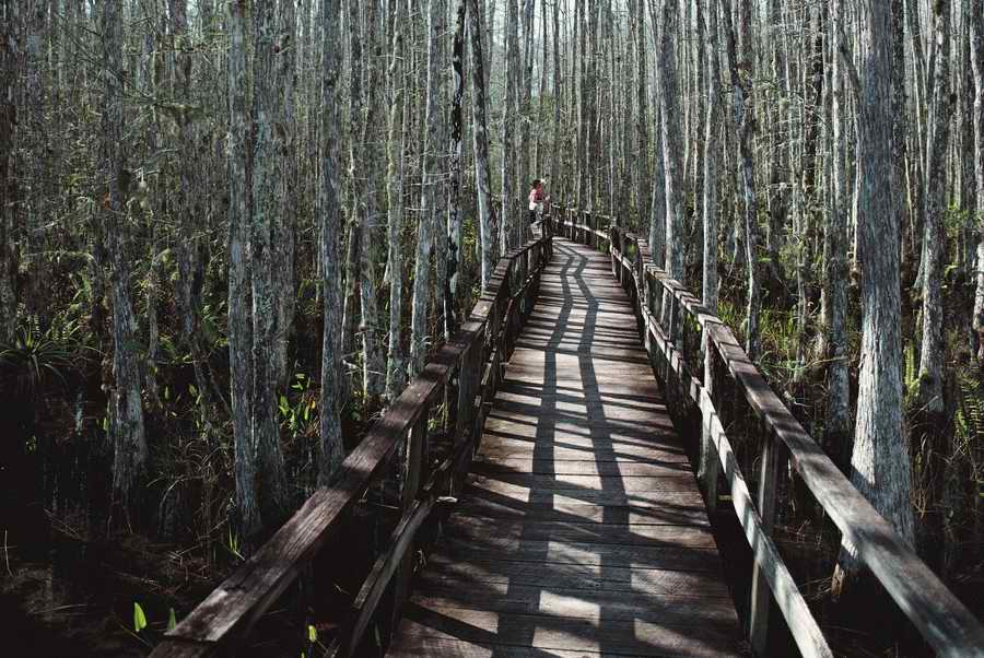 US Landmarks & Travel - Photodisc ></a>
<script language=JavaScript> 
  var txt = 