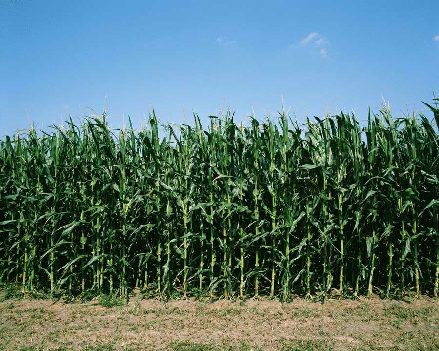 US Landmarks & Travel - Photodisc ></a>
<script language=JavaScript> 
  var txt = 