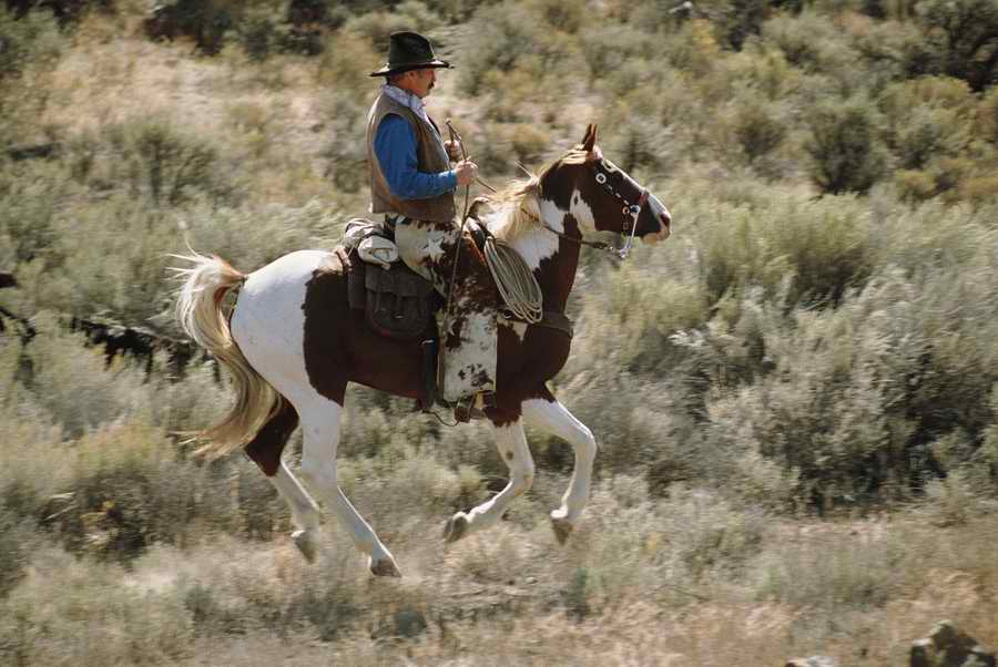 US Landmarks & Travel - Photodisc ></a>
<script language=JavaScript> 
  var txt = 