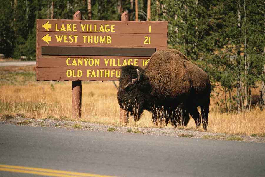 US Landmarks & Travel - Photodisc ></a>
<script language=JavaScript> 
  var txt = 