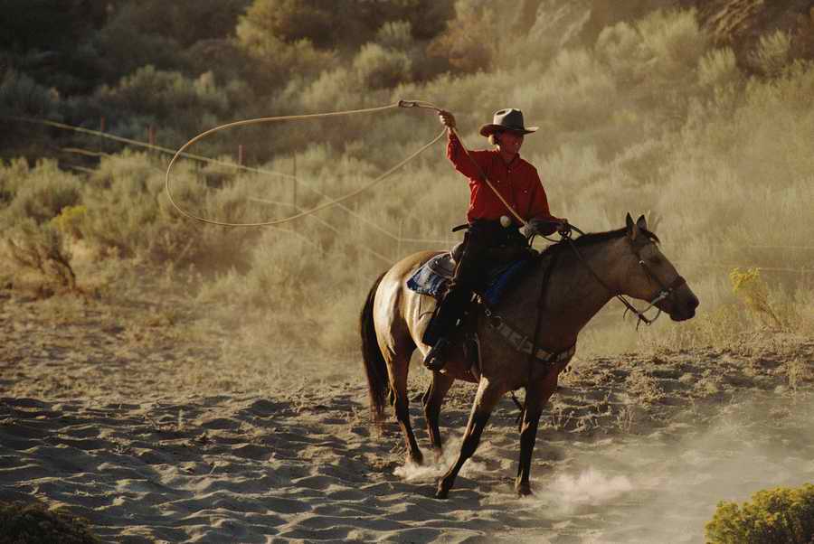 US Landmarks & Travel - Photodisc ></a>
<script language=JavaScript> 
  var txt = 