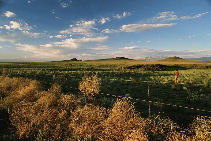 US Landmarks & Travel - Photodisc ></a>
<script language=JavaScript> 
  var txt = 