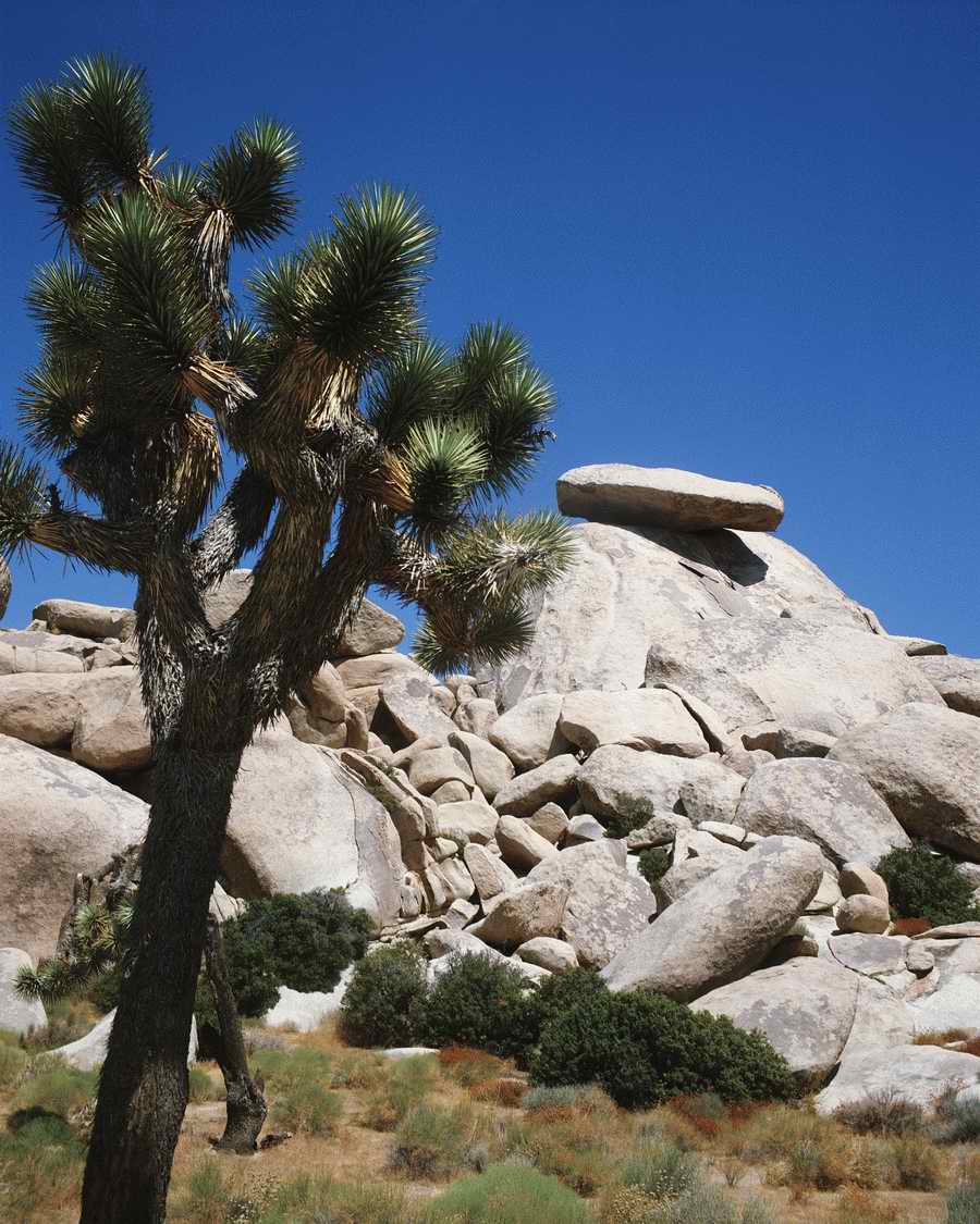 US Landmarks & Travel - Photodisc ></a>
<script language=JavaScript> 
  var txt = 