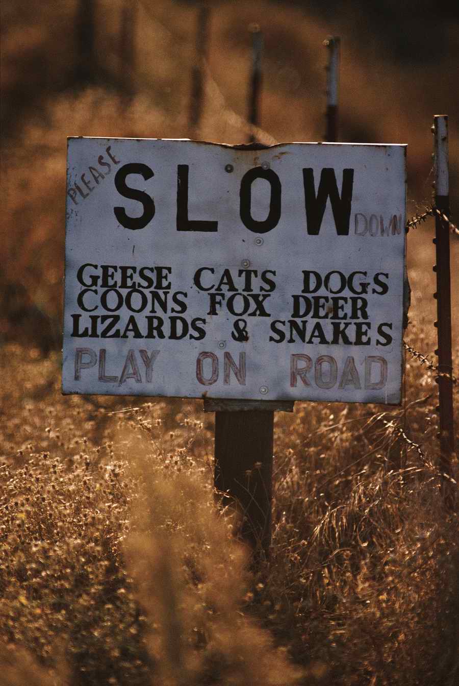 US Landmarks & Travel - Photodisc ></a>
<script language=JavaScript> 
  var txt = 