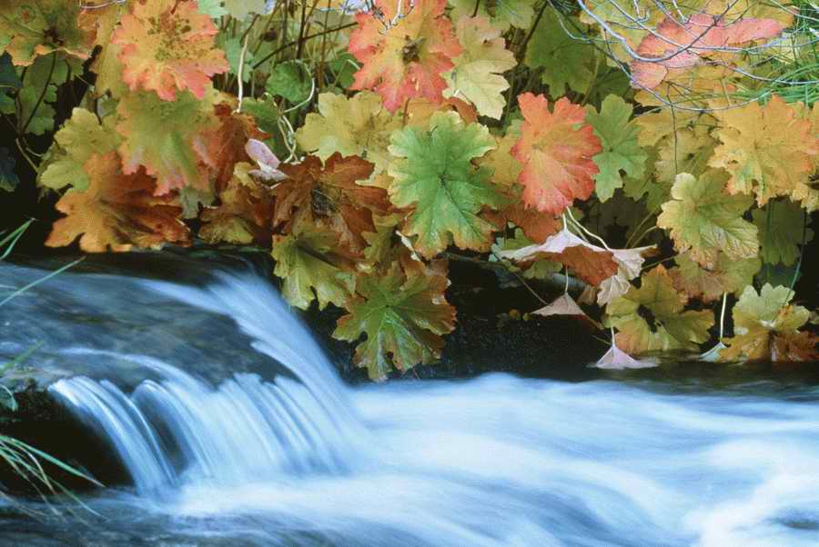 US Landmarks & Travel - Photodisc ></a>
<script language=JavaScript> 
  var txt = 