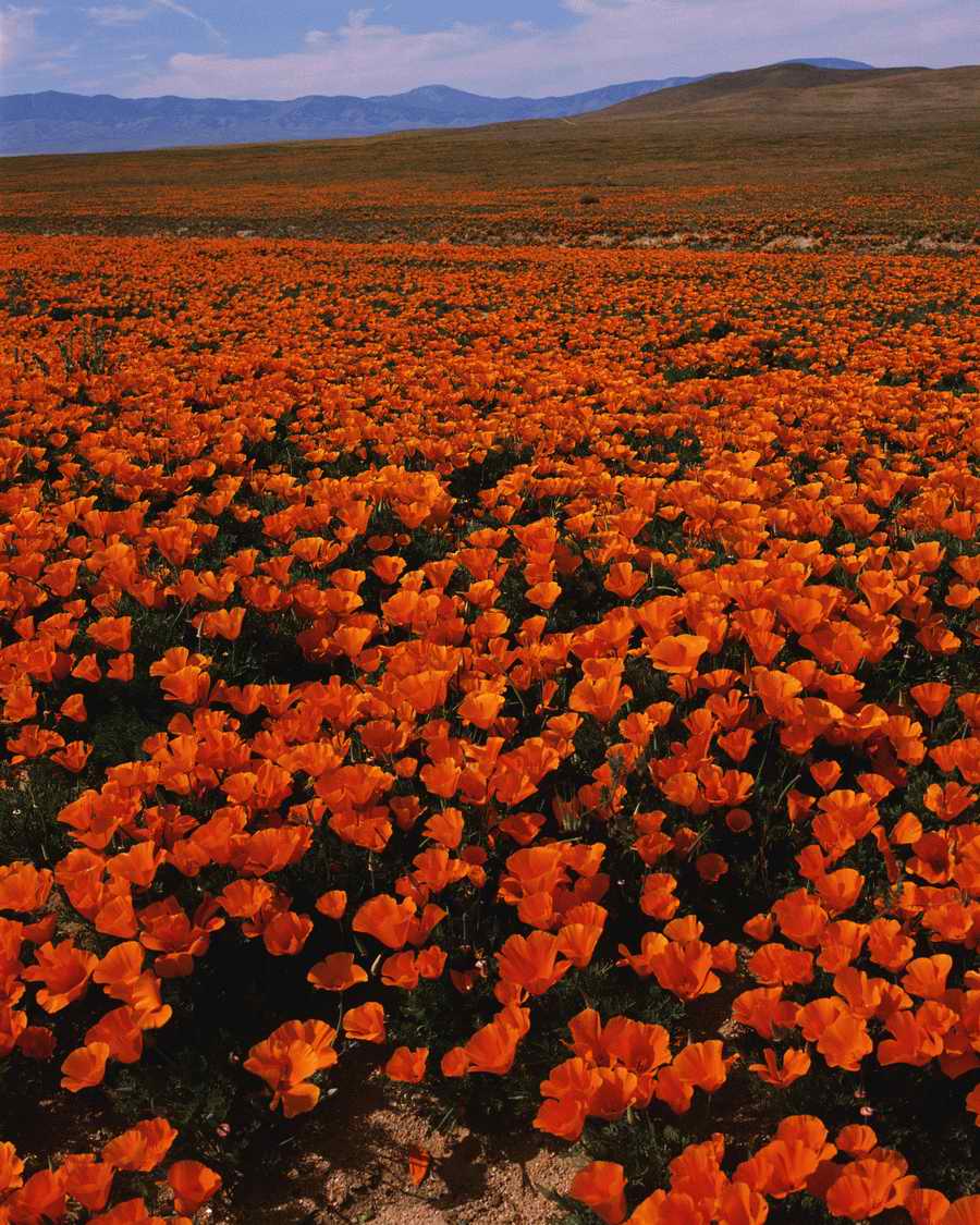 US Landmarks & Travel - Photodisc ></a>
<script language=JavaScript> 
  var txt = 