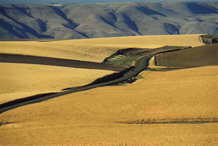 US Landmarks & Travel - Photodisc ></a>
<script language=JavaScript> 
  var txt = 