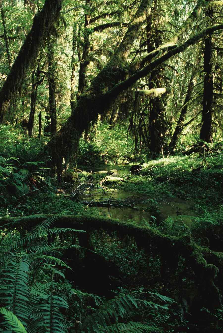 US Landmarks & Travel - Photodisc ></a>
<script language=JavaScript> 
  var txt = 