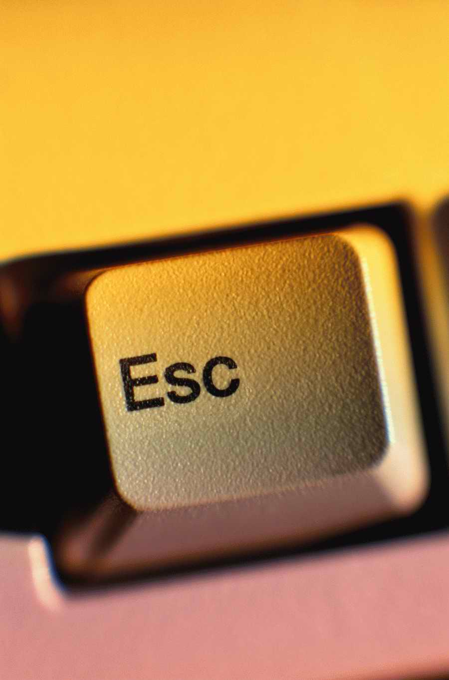 KeyBoards & Computers - Photodisk Designer Tools ></a>
<script language=JavaScript> 
  var txt = 