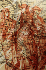 Photodisk Designer Tools: Maps & Navigation 