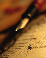 Photodisk Designer Tools: Maps & Navigation 