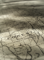 Photodisk Designer Tools: Maps & Navigation 