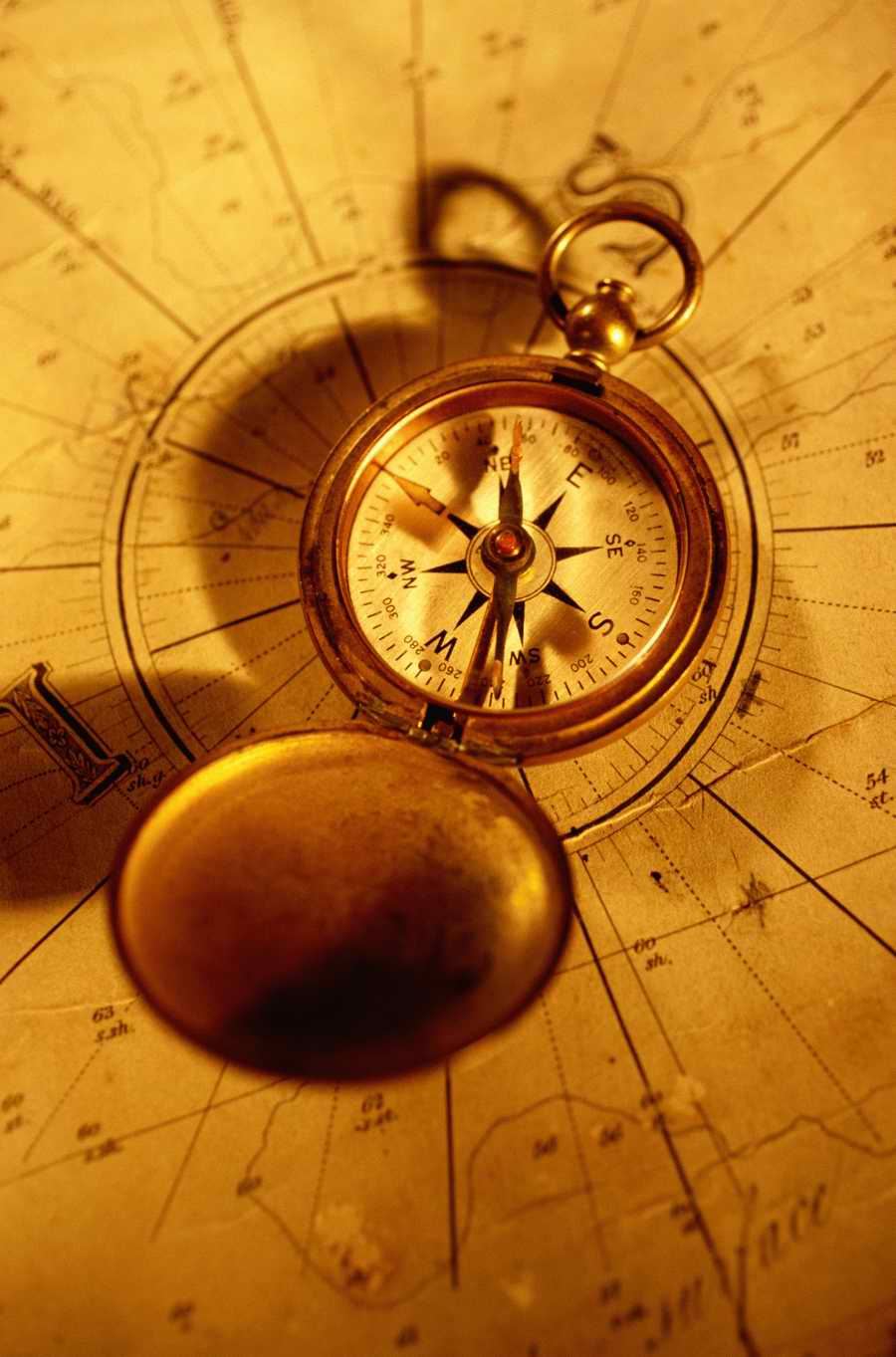 Maps & Navigation - Photodisk Designer Tools ></a>
<script language=JavaScript> 
  var txt = 