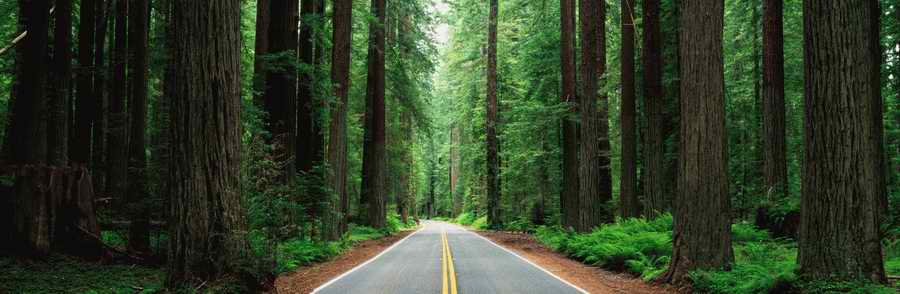 Roads & Highways - Photodisk Designer Tools ></a>
<script language=JavaScript> 
  var txt = 