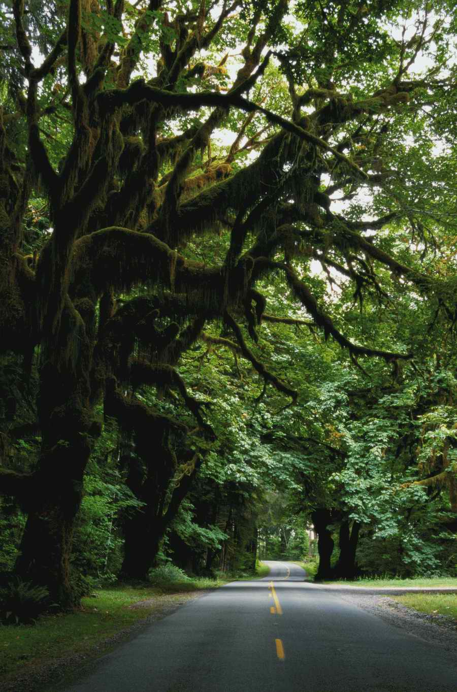 Roads & Highways - Photodisk Designer Tools ></a>
<script language=JavaScript> 
  var txt = 