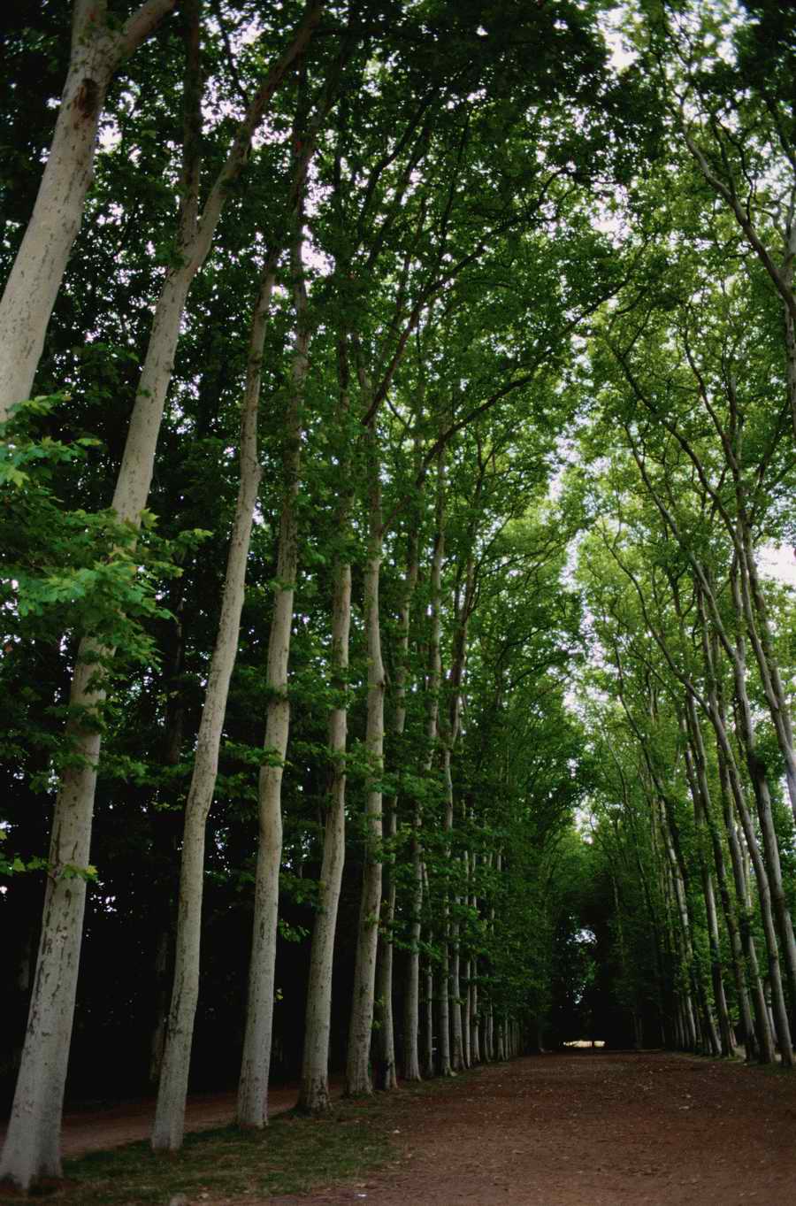 Roads & Highways - Photodisk Designer Tools ></a>
<script language=JavaScript> 
  var txt = 