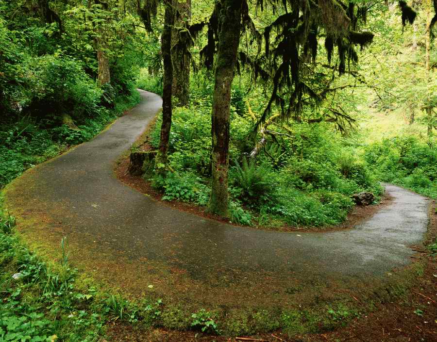 Roads & Highways - Photodisk Designer Tools ></a>
<script language=JavaScript> 
  var txt = 