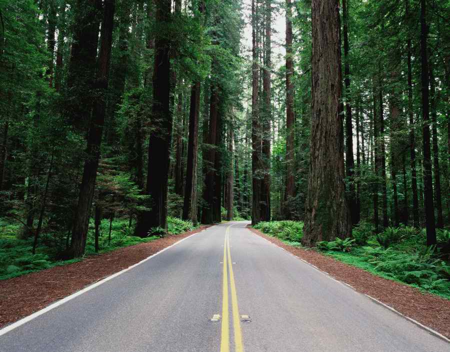 Roads & Highways - Photodisk Designer Tools ></a>
<script language=JavaScript> 
  var txt = 